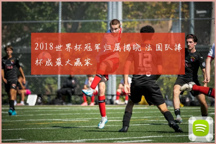 2018世界杯冠军归属揭晓 法国队捧杯成最大赢家