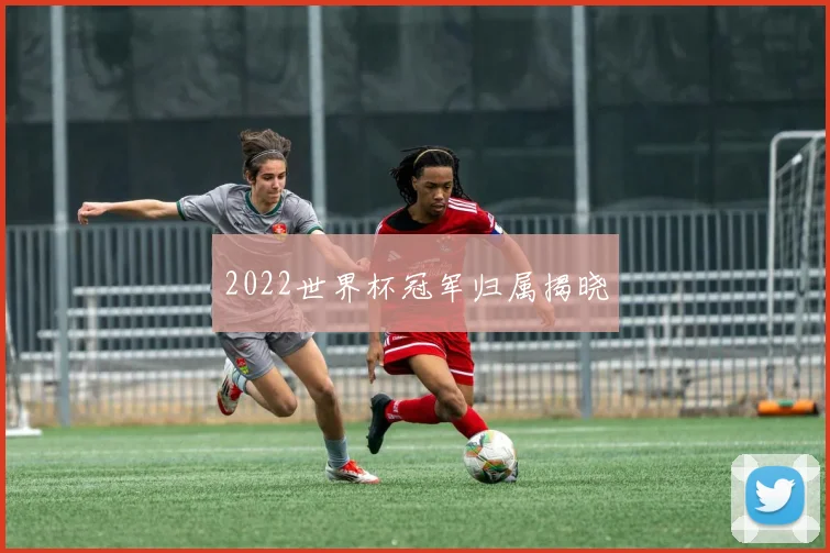 2022世界杯冠军归属揭晓